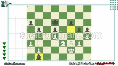 مفهوم استراتژی در شطرنج