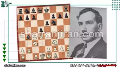 گشایش دفاع راگوزین
