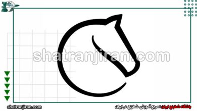 فارسی کردن لیچس